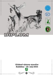 DIPLOM 